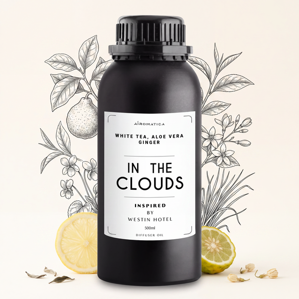 IN THE CLOUDS