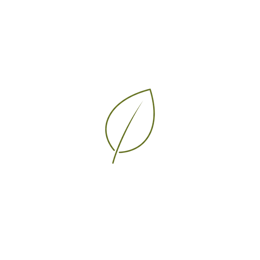 shop by season